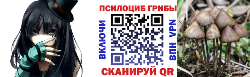 Купить где  Цивильск  Галлюциногенные грибы ЛСД 
